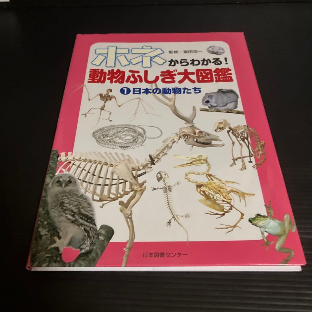 富田京一 ホネからわかる!動物ふしぎ大図鑑(全3巻)
