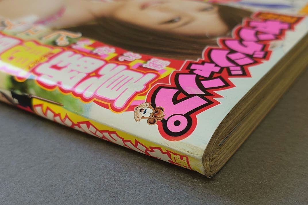 ヤングジャンプ2013年1号となりのヤングジャンプ出張版『ワンパンマン』特別読切