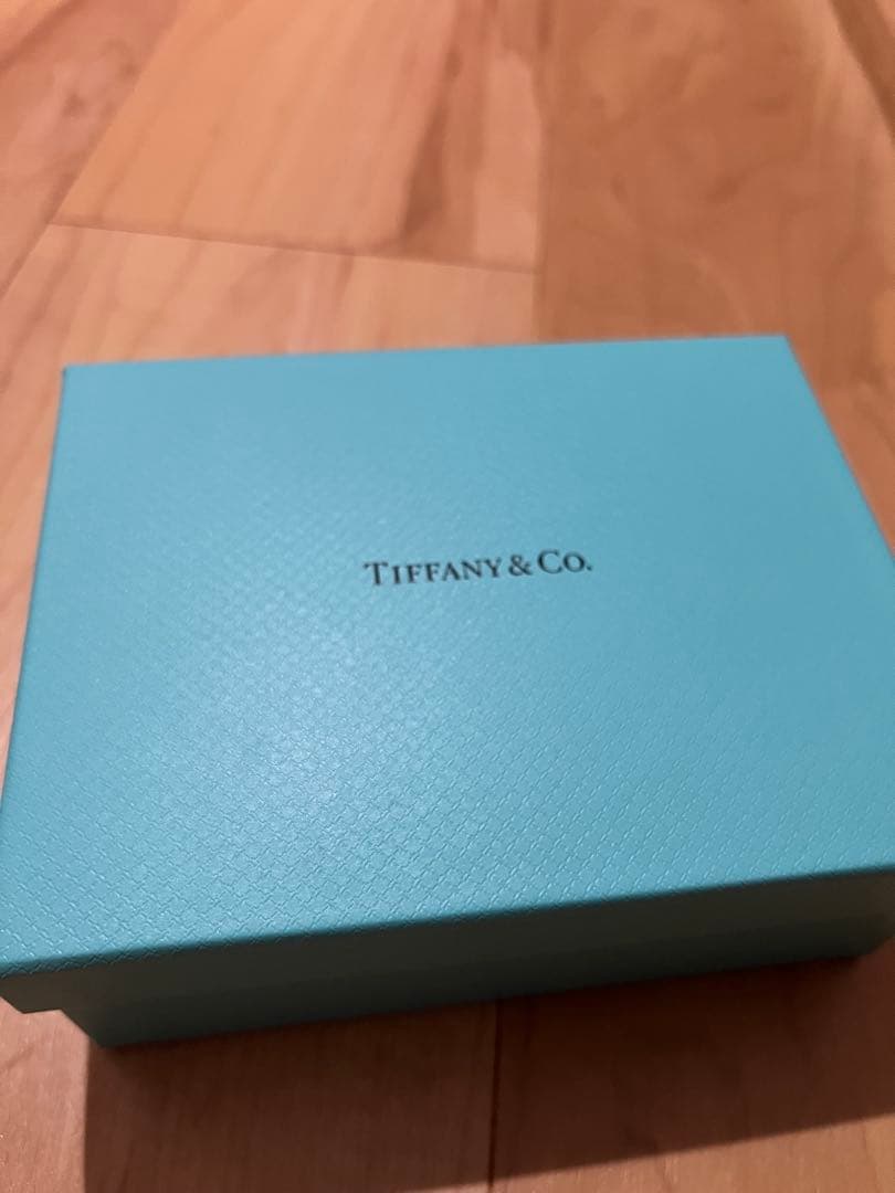 Tiffany & Co. ターコイズ ケース