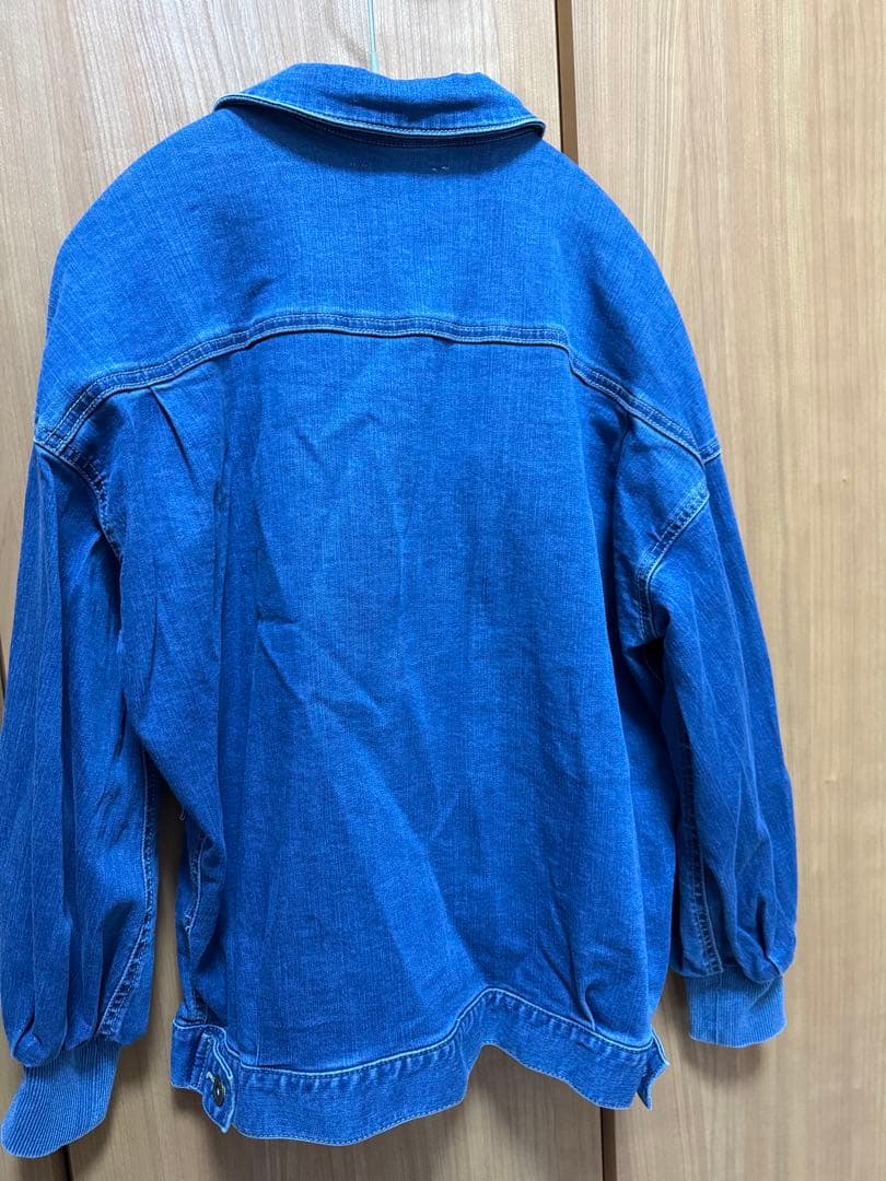 BEARDLEY ビアズリー　袖パフGジャン