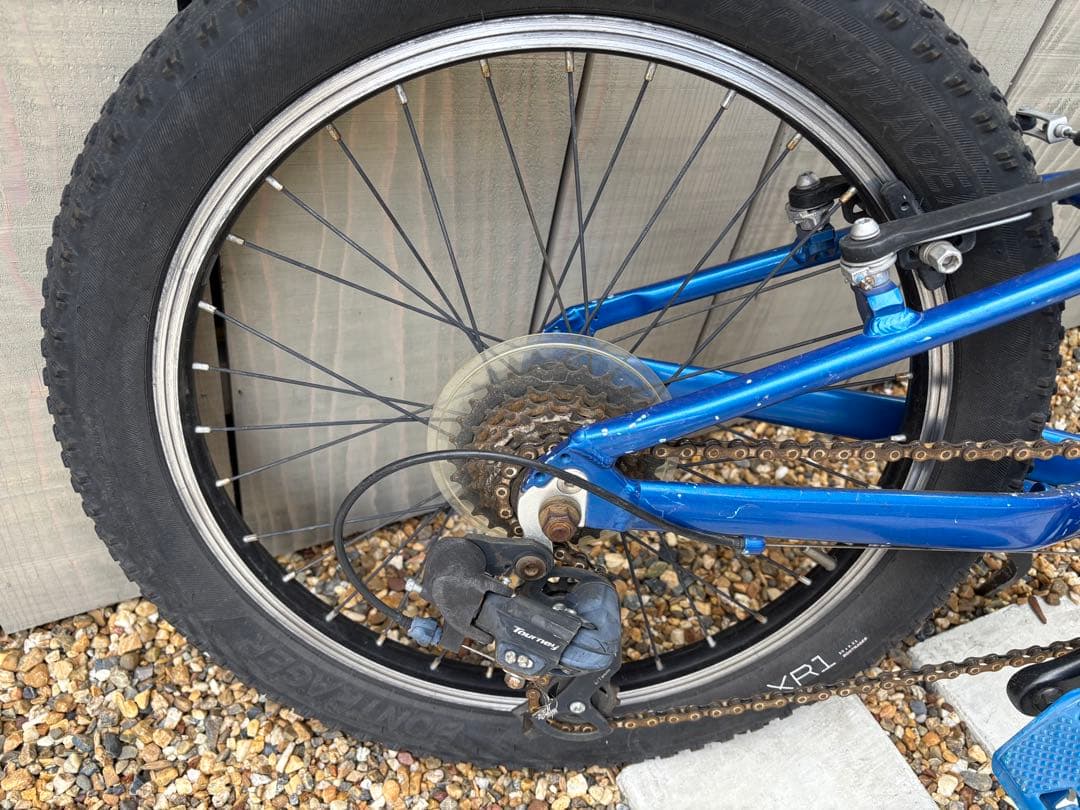 キッズ　Trek 20インチ マウンテンバイク