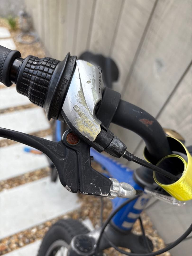 キッズ　Trek 20インチ マウンテンバイク