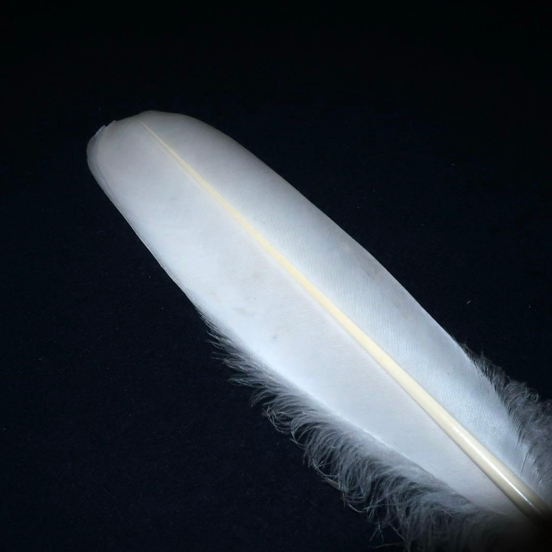 【茶道具】羽箒　炭点前