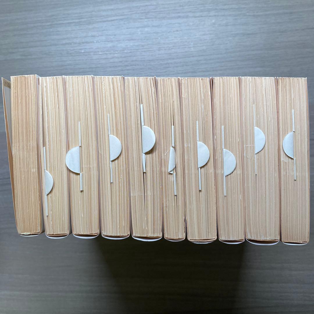 南総里見八犬伝 全10巻揃い 曲亭馬琴 岩波文庫 外箱付き