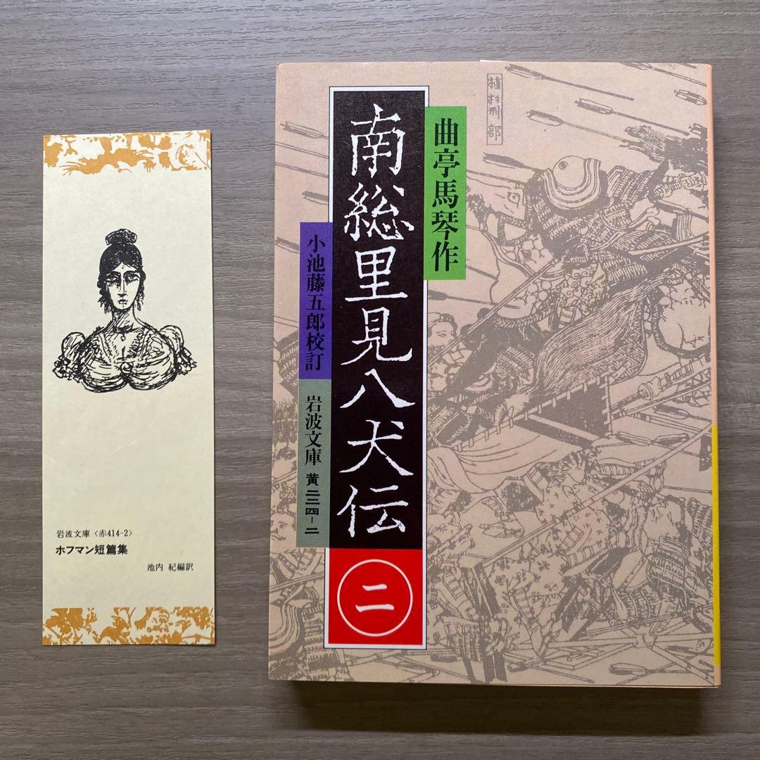 南総里見八犬伝 全10巻揃い 曲亭馬琴 岩波文庫 外箱付き
