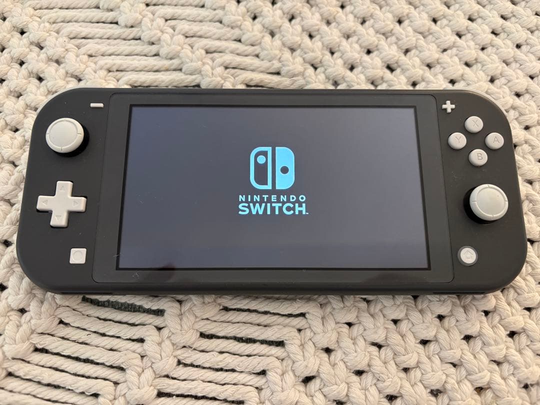 Nintendo Switch Lite グレー 本体＋ケース・充電器付き