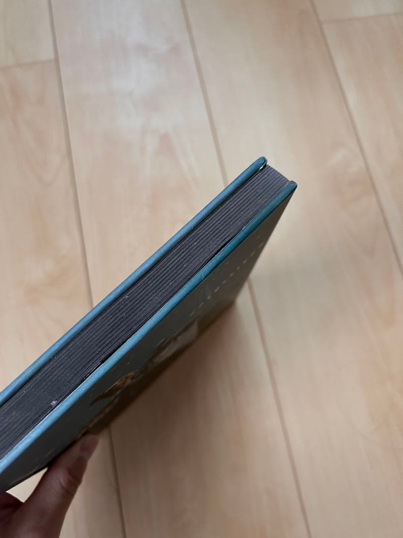 【希少】Satellitesジョナスベンディクセン　Bendiksen　写真集