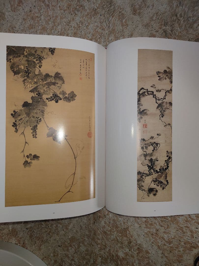 【美品・豪華本】伊藤若冲 画集 ／紫紅社／動植綵絵・花鳥画・日本画 アートブック