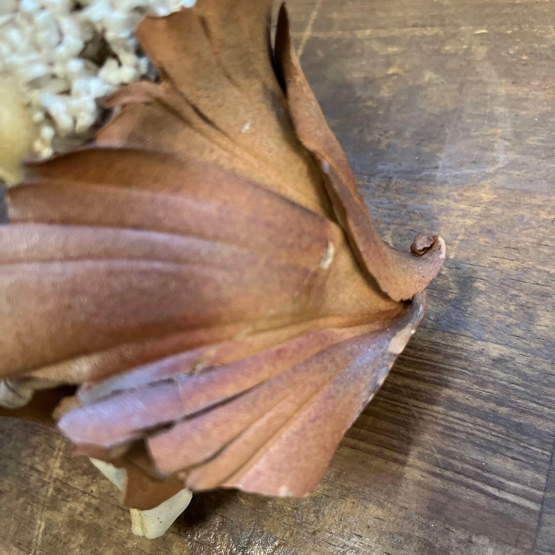 陶器人形 森の精 創作人形作家 竹内祥子 オブジェ 置物 アンティーク