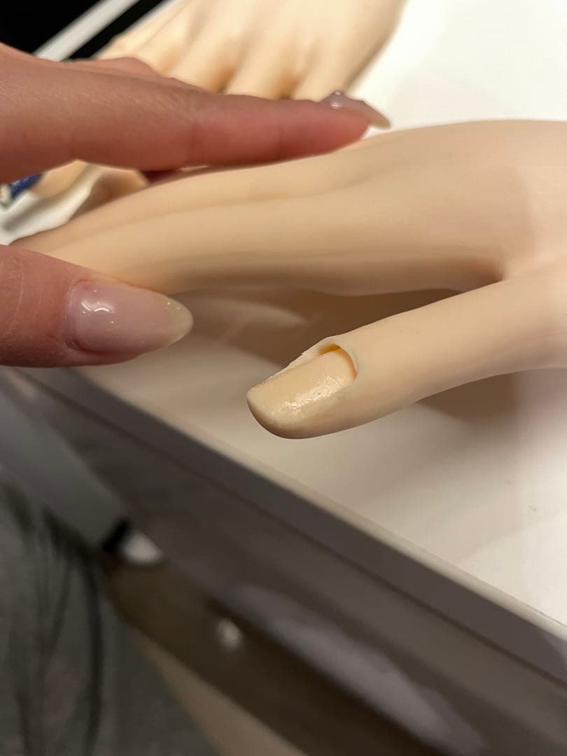 認定モデルハンド