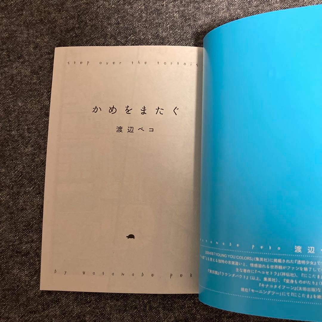 渡辺ペコ【かめをまたぐ】フィールヤング2010年8月号別冊付録