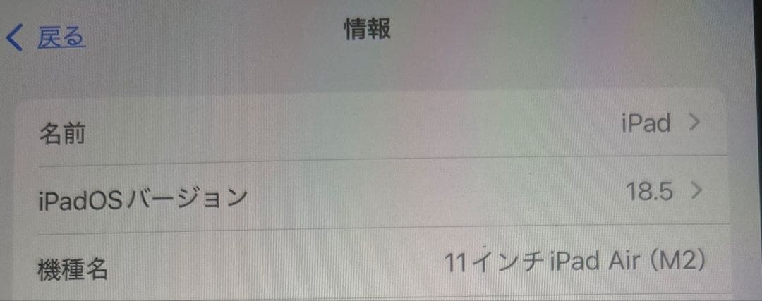 iPad Air M2 256gb ブルー + Apple Pencil Pro