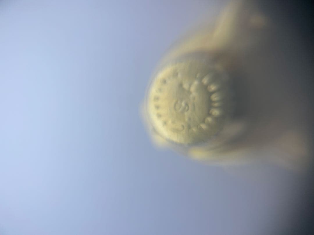 軒*グ様 K18 金　カメデザイン ネクタイピン