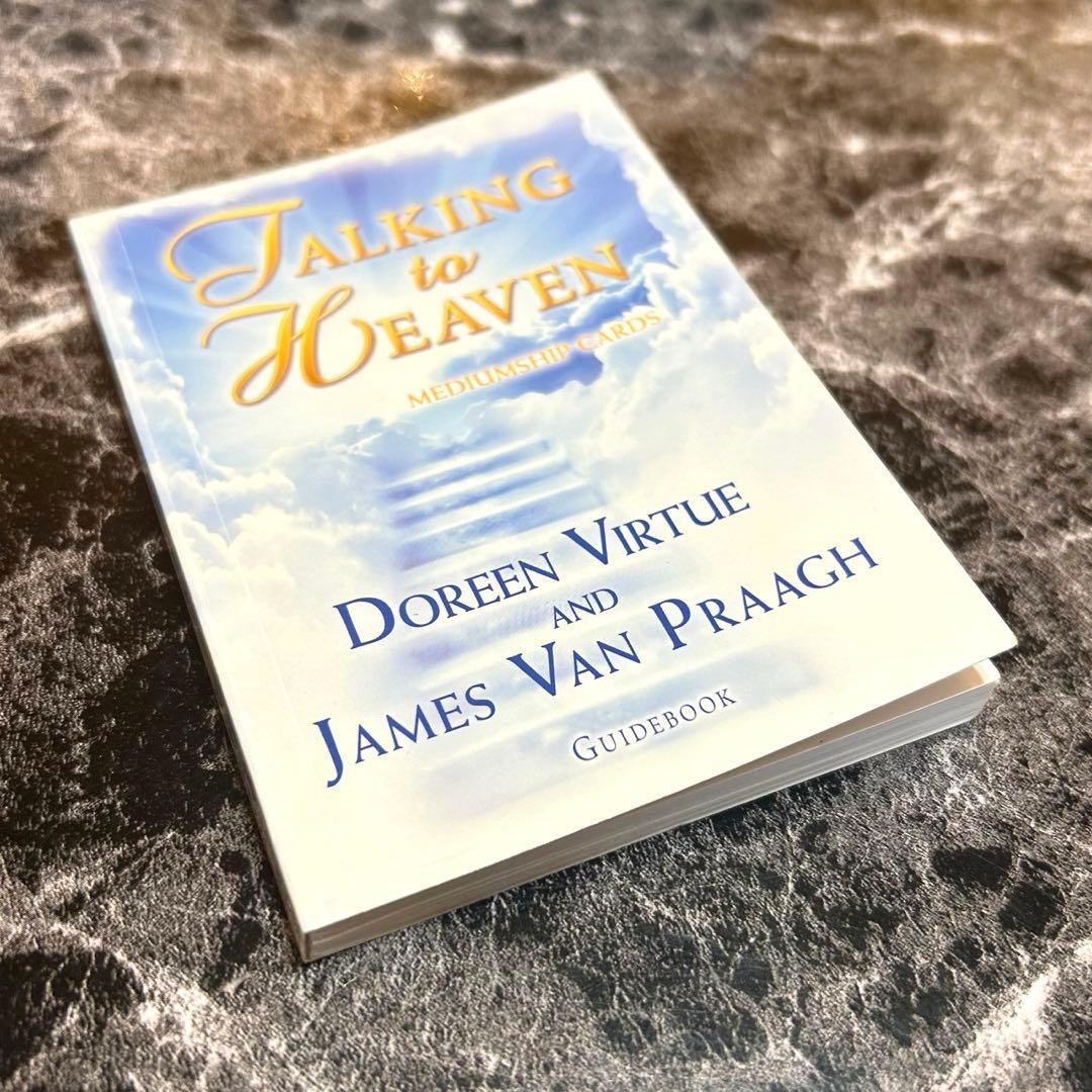 【絶版】希少　トーキングトゥヘブンミディアムシップカード　正規品