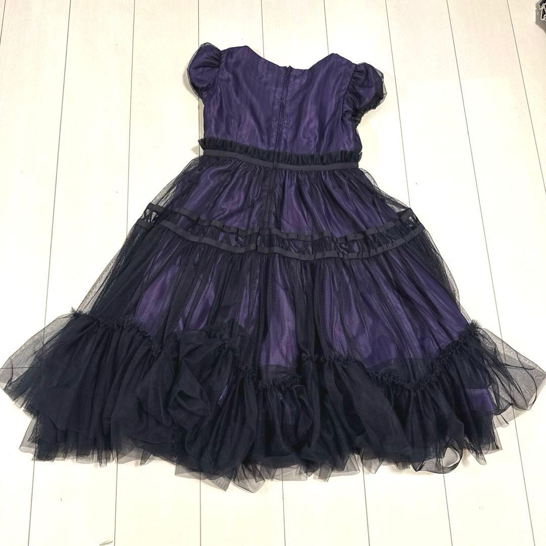 専用　ANNA SUI mini バラ刺しゅう重ねチュールドレス