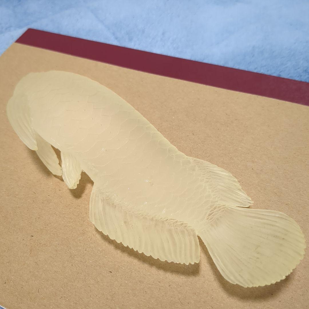 エスパーダ Espada　アロワナ AROWANA