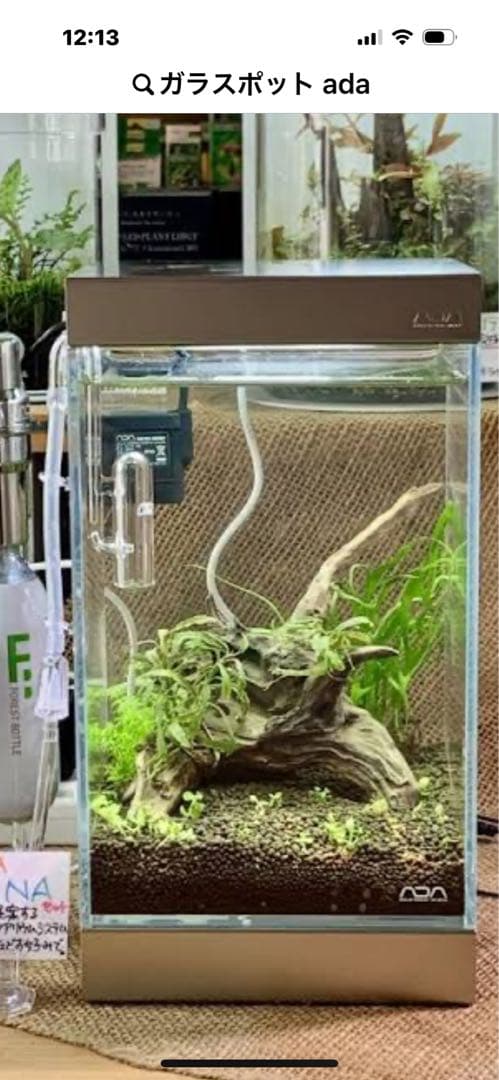 廃盤未使用 ADA Do!aqua プラントグラス 15×15×20 ２個