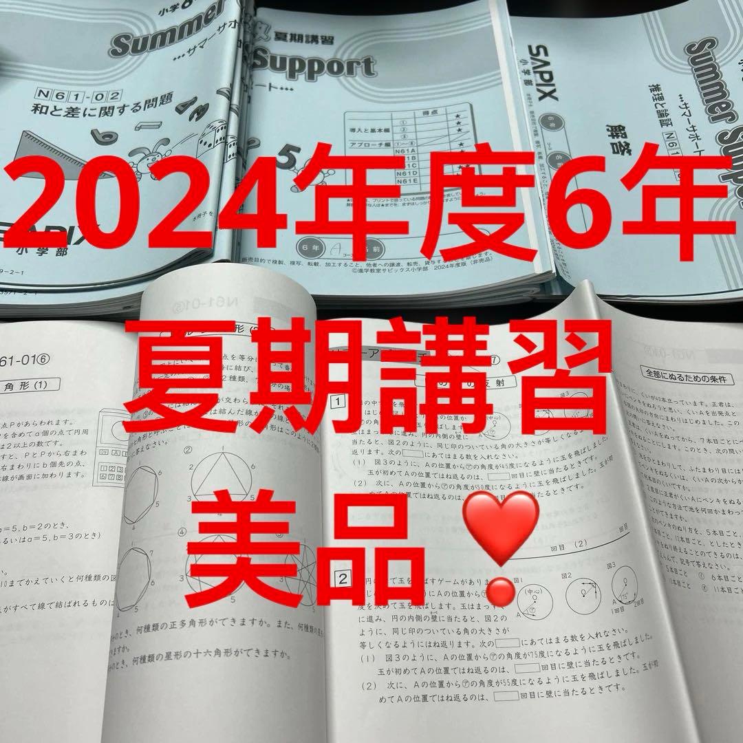 ㉔w サピックス　SAPIX 6年　算数　サマーサポート　夏期講習　書き込み僅か
