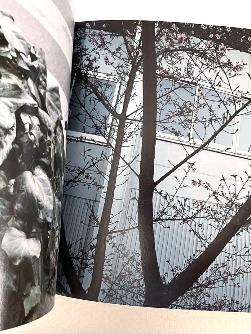 清野賀子　Seino Yoshiko