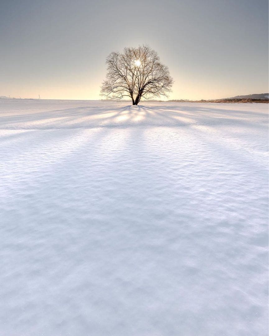 専用BIBIY. CLUB JACKET