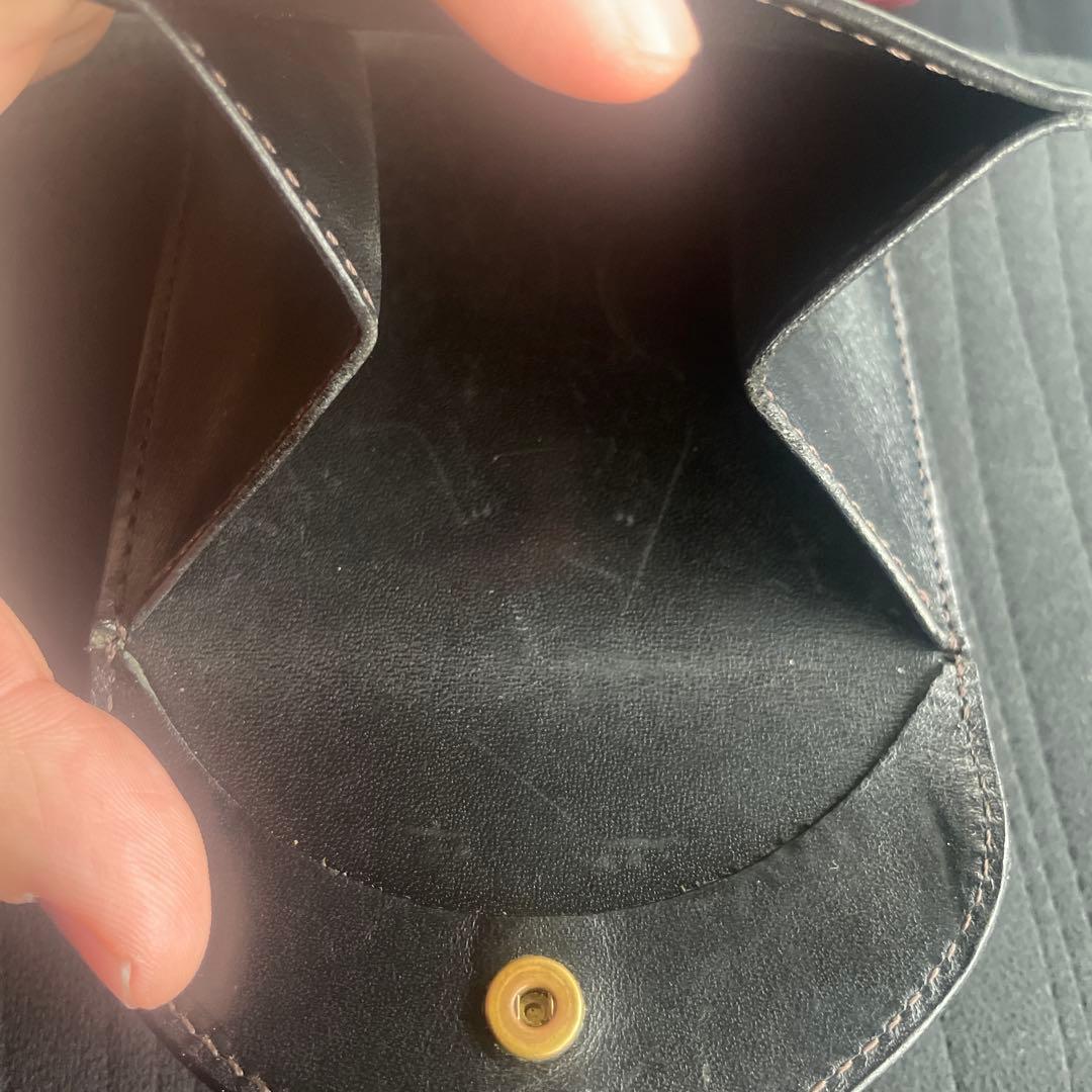 【希少】WILDSWANS FRANTZ ワイルドスワンズ