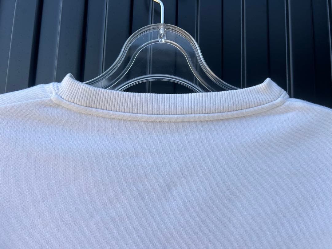 ☆送料無料☆Dior×KAWS(ディオール×カウズ）クルーネックスウェット☆