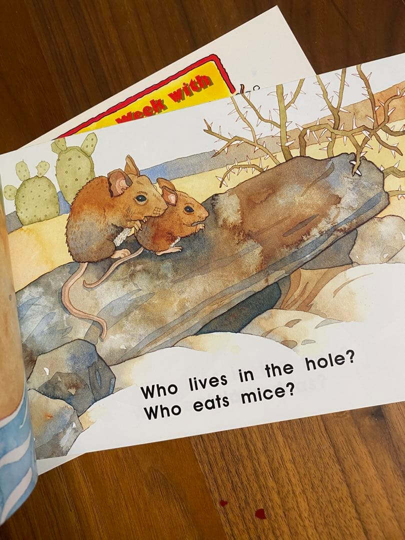 CTP Learn to Read 96冊　cd付き