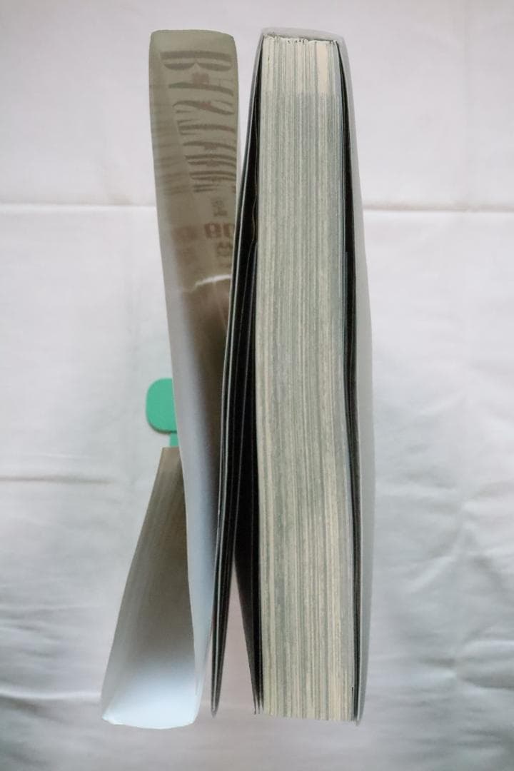 BASTARD!! 暗黒の破壊神 完全版 9巻のみ 萩原一至　／バスタード