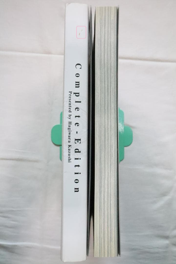 BASTARD!! 暗黒の破壊神 完全版 9巻のみ 萩原一至　／バスタード