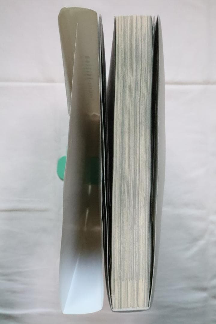 BASTARD!! 暗黒の破壊神 完全版 9巻のみ 萩原一至　／バスタード