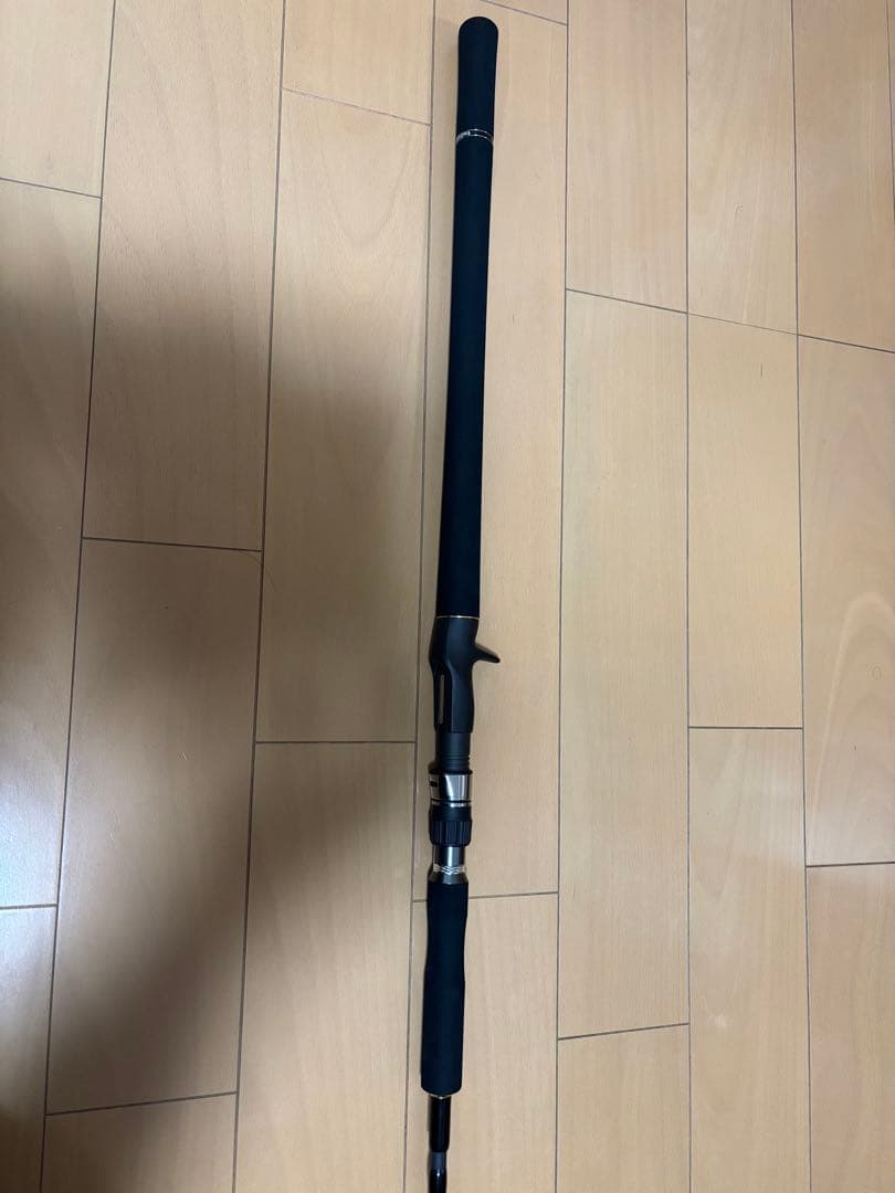 テールウォーク　ジグフォースSSD C604