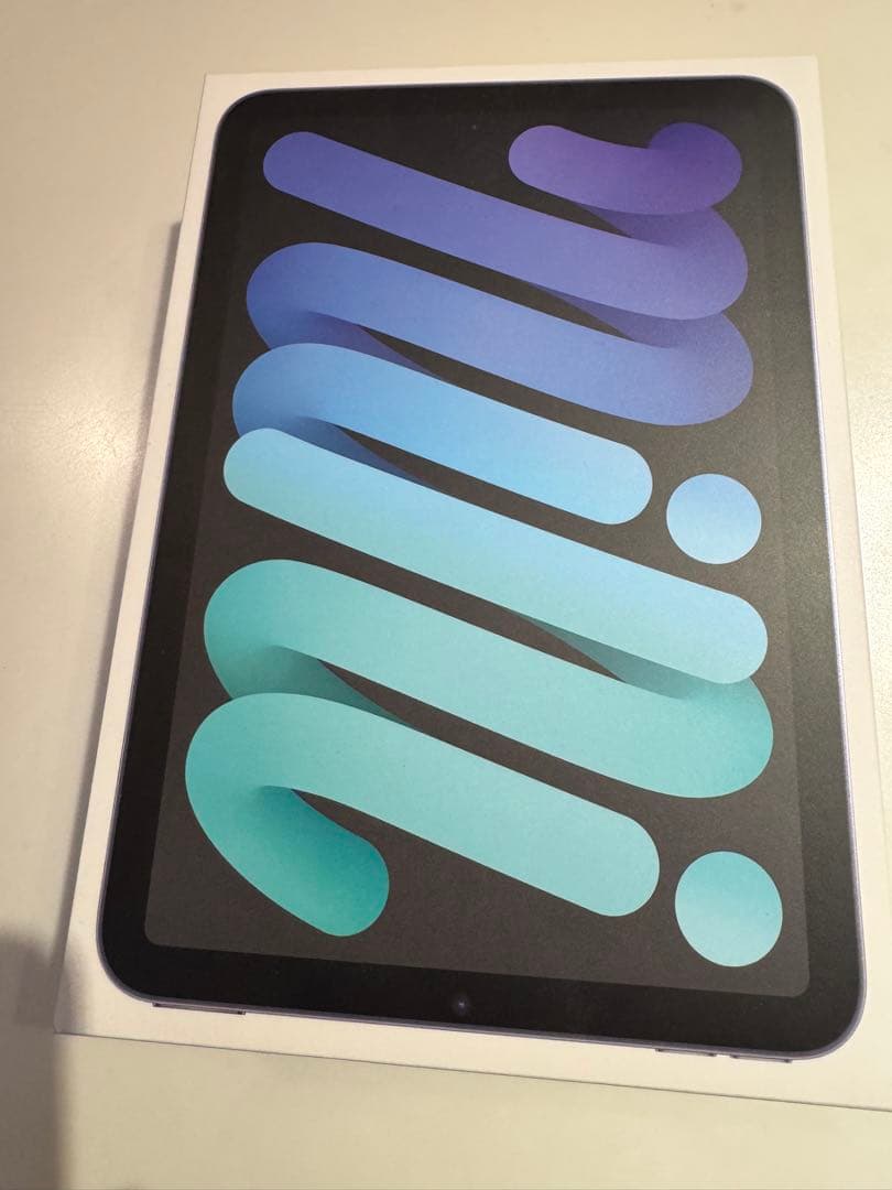 iPad mini 6 256GB セルラー