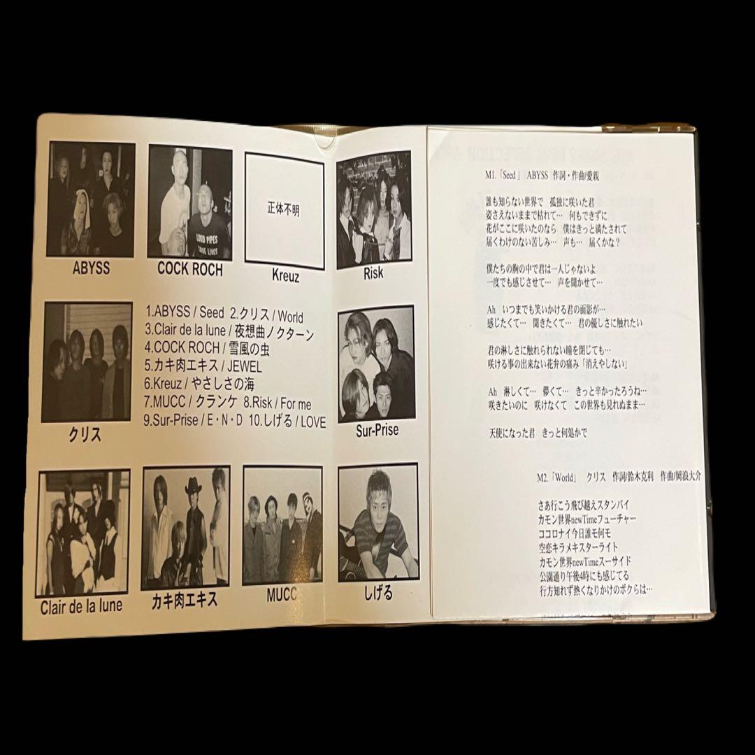 HOT INDIES BEST SELECTION Vol.1 廃盤中古CD