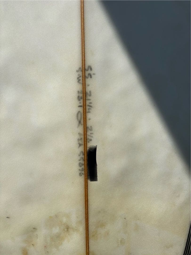 アルメリック チャンネルアイランド　スパムホエール spam whale