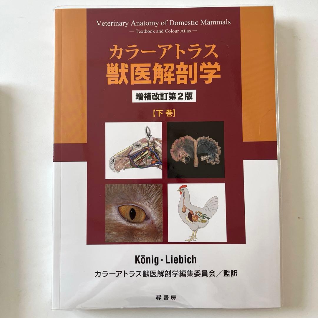 カラーアトラス 獣医解剖学 下巻