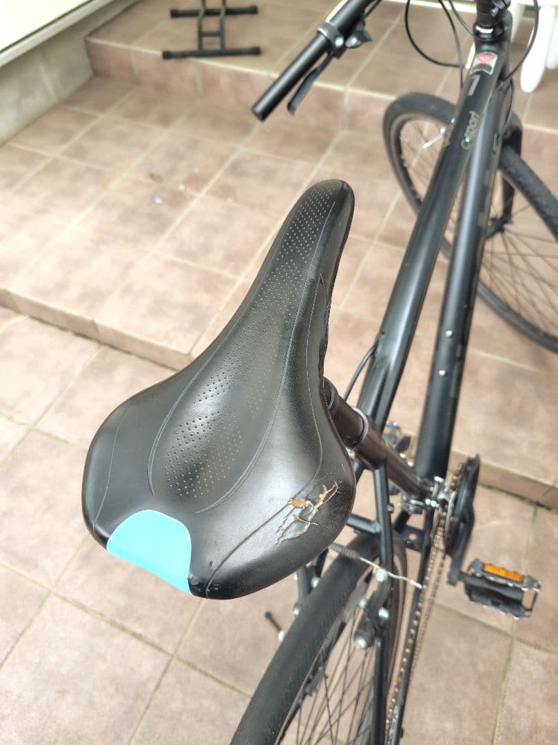 Bianchi C-SPORTS 1 黒 クロスバイク サイズ51 中古 訳あり