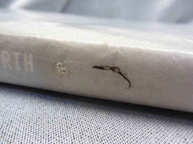 RU-4745　SNAPS ELLEN VON UNWERTH 初版 洋書