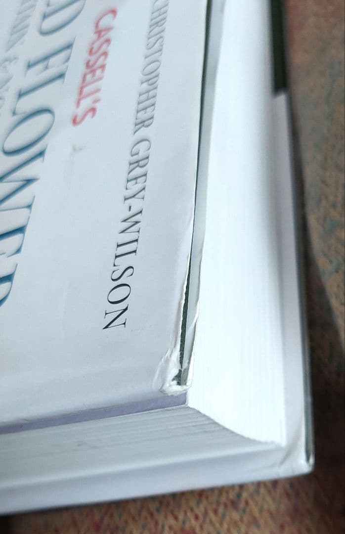 古書 希少 Familiar Wild Flowers 植物図鑑　洋書　イギリス