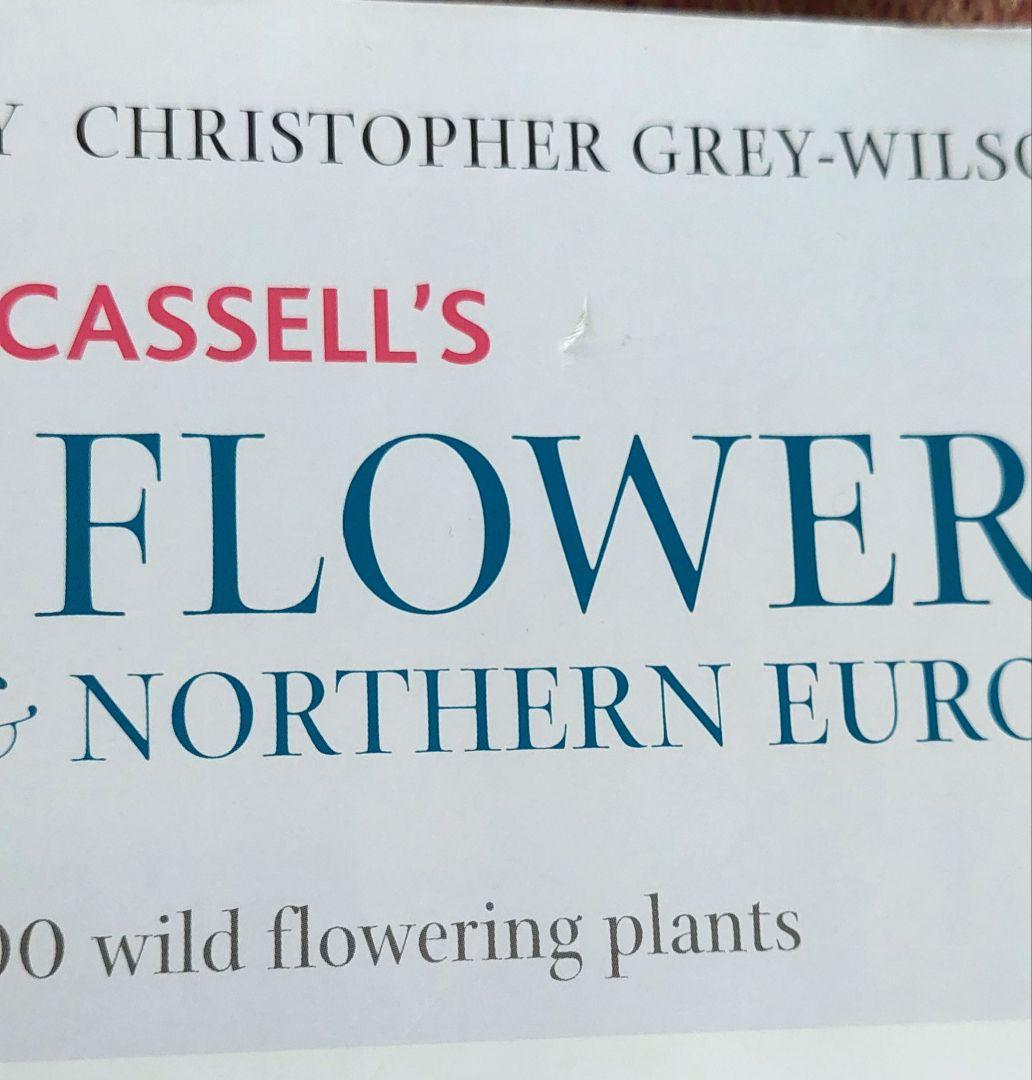 古書 希少 Familiar Wild Flowers 植物図鑑　洋書　イギリス