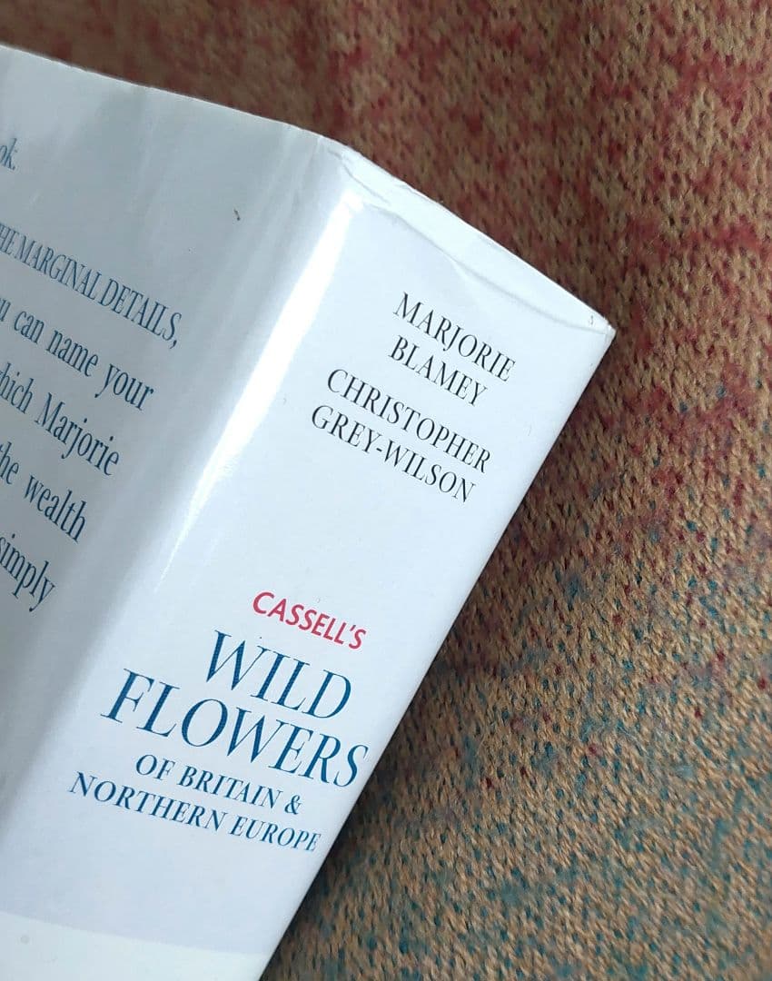 古書 希少 Familiar Wild Flowers 植物図鑑　洋書　イギリス