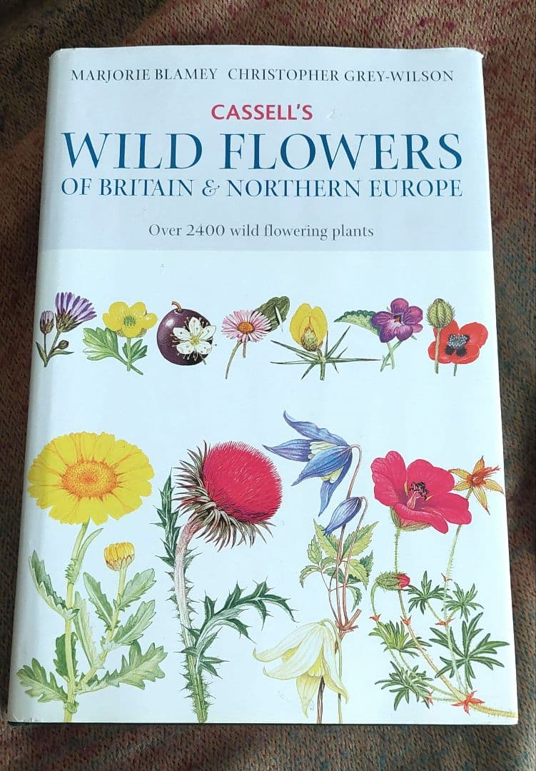 古書 希少 Familiar Wild Flowers 植物図鑑　洋書　イギリス