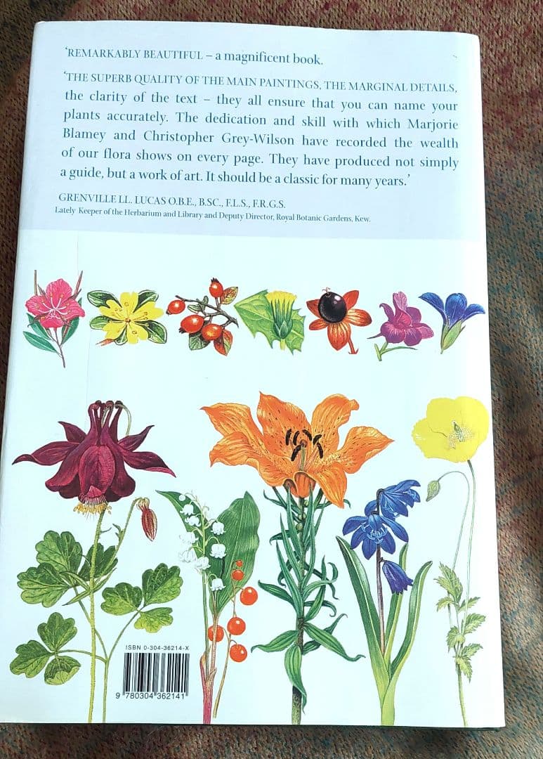 古書 希少 Familiar Wild Flowers 植物図鑑　洋書　イギリス