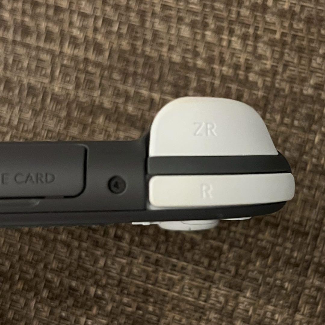 美品 Nintendo Switch Lite グレー 本体 ケース付き