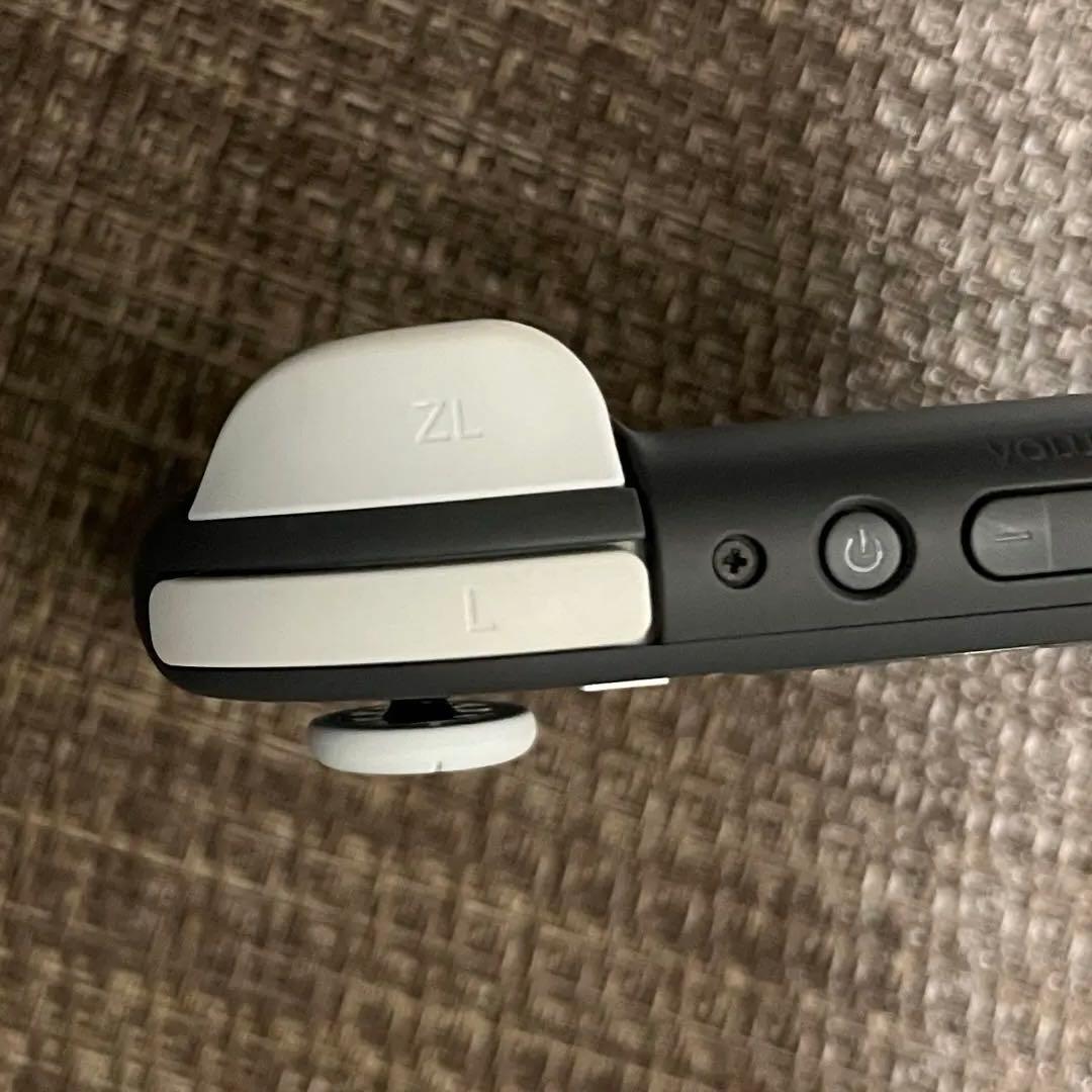 美品 Nintendo Switch Lite グレー 本体 ケース付き