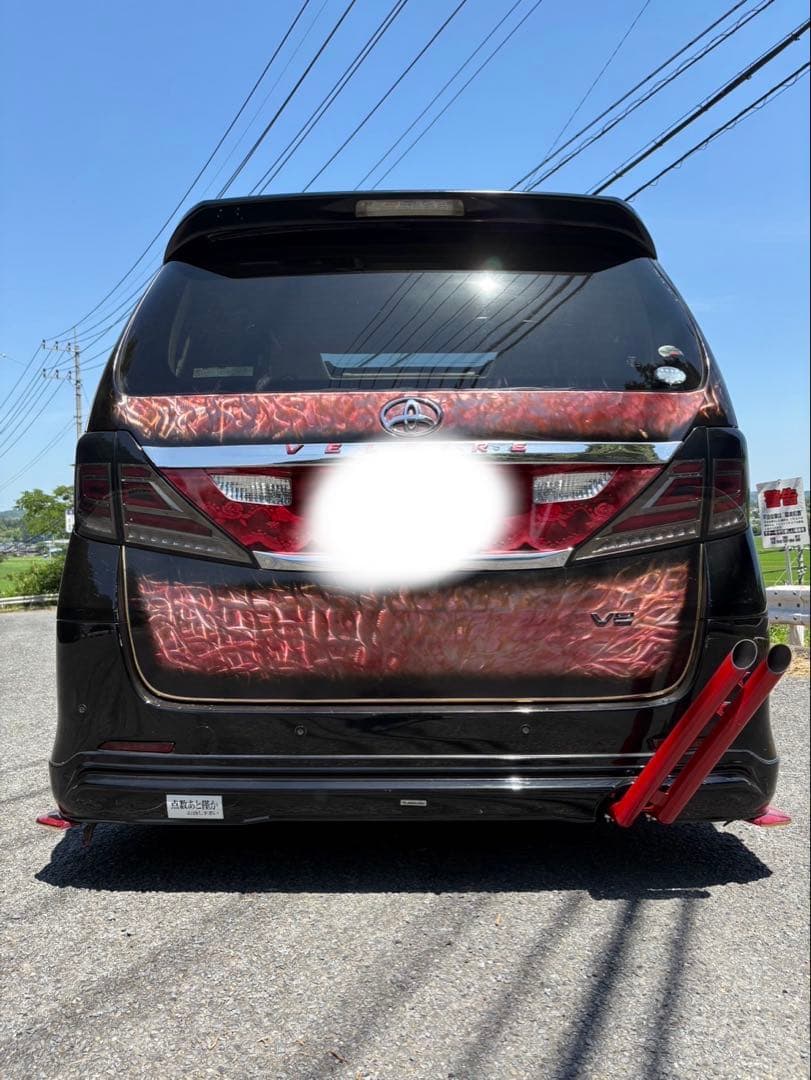 20ヴェルファイア　竹槍