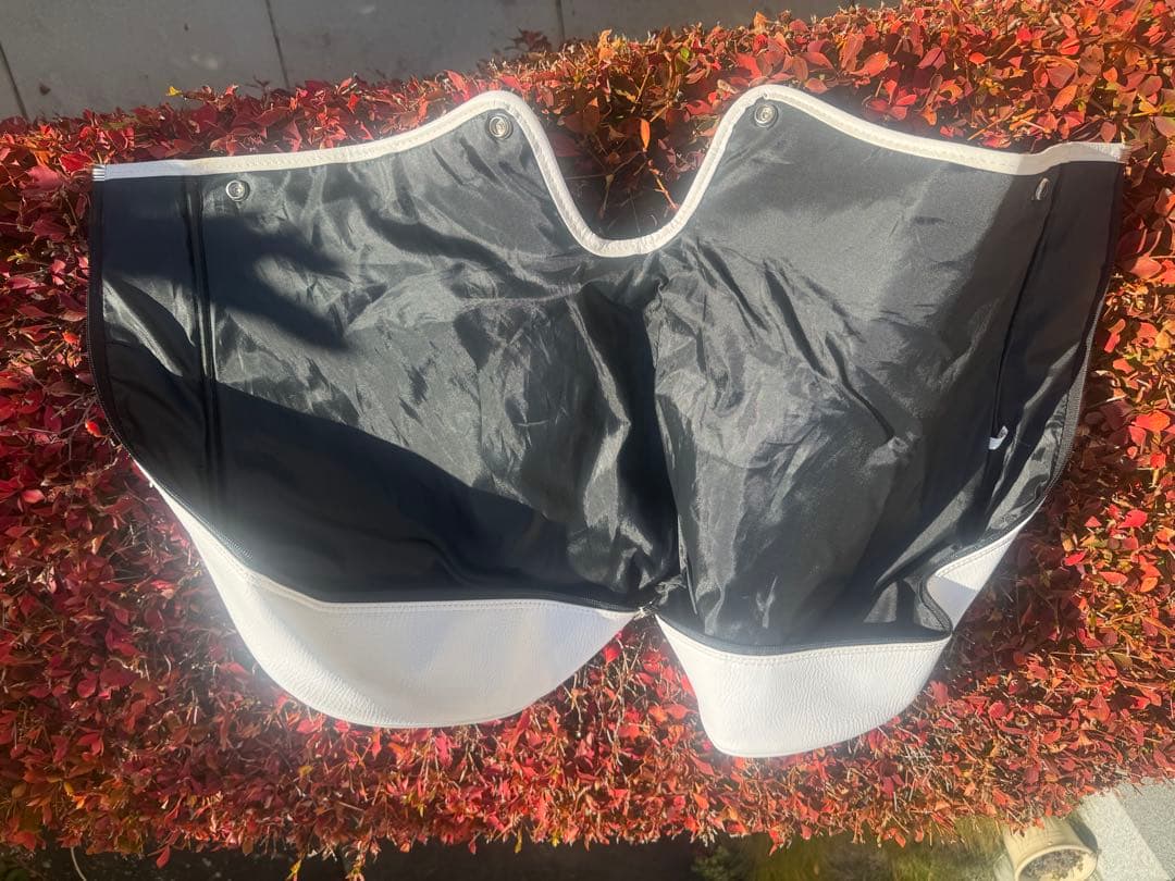 Coca-Cola TOUR CHAMPIONSHIP ゴルフバッグ