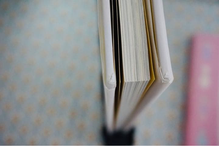 シトロニール  黄色本ピンク本