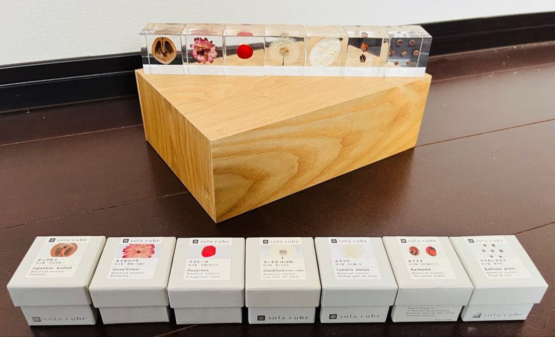 その他 solacube