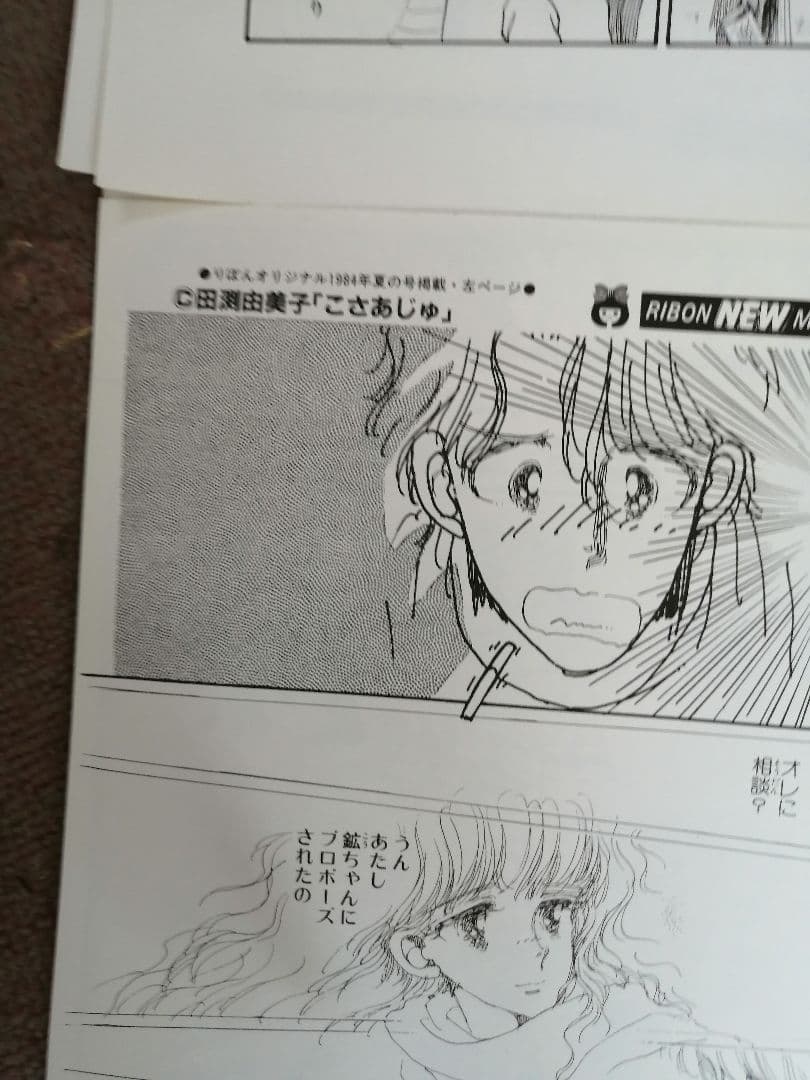 Ｗ‼️高級品‼️希少品‼️りぼん複製原画集　全14枚‼️