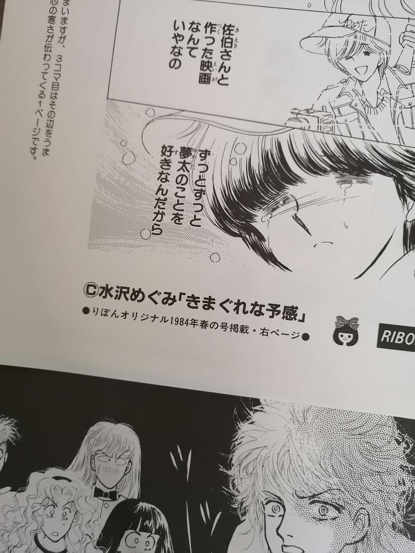 Ｗ‼️高級品‼️希少品‼️りぼん複製原画集　全14枚‼️